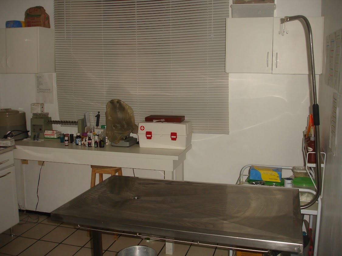 Consuvet 2008