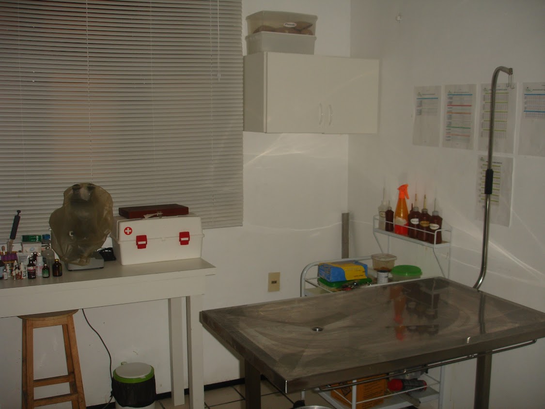 Consuvet 2008